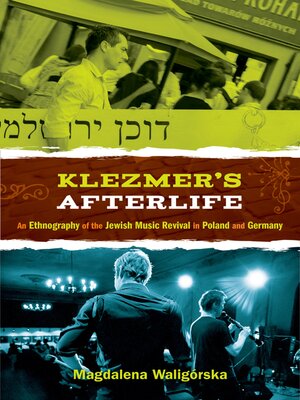 cover image of Klezmer's Afterlife